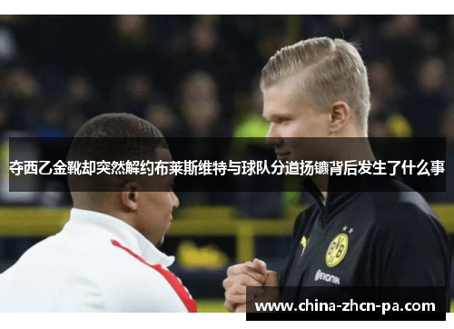 夺西乙金靴却突然解约布莱斯维特与球队分道扬镳背后发生了什么事